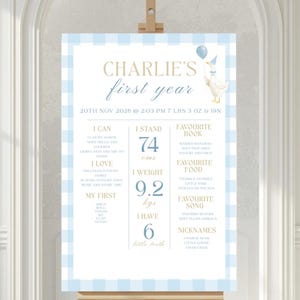 May include: A light blue and white gingham-patterned sign on an easel, with the text "Charlie's first year." The sign includes details about the child's height, weight, and other milestones. Light blue balloons are scattered around the easel.