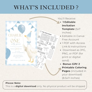 One Silly Goose Birthday Invitation Blue Gingham Boy 1st Birthday Invite Editable Template Digital Download Canva Invitation image 3