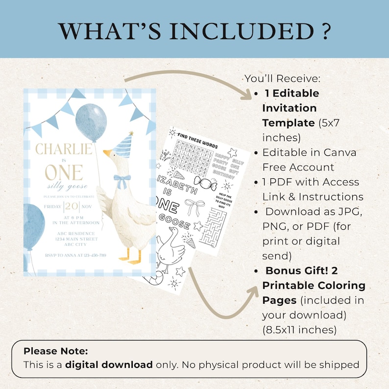 One Silly Goose Birthday Invitation Blue Gingham Boy 1st Birthday Invite Editable Template Digital Download Canva Invitation image 3