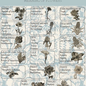 Significations de fleurs sépia et autocollants découpés poétiques