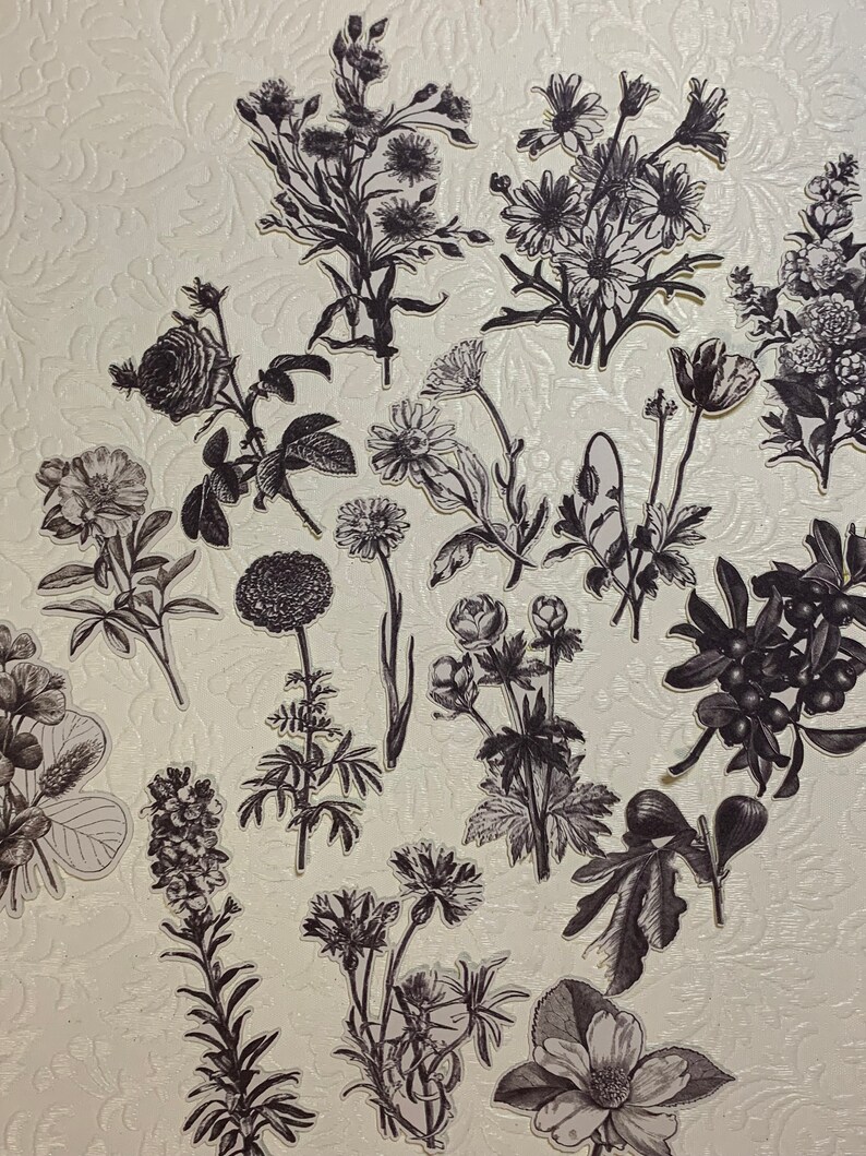 Black and White Plant Die Cut Stickers | Etsy