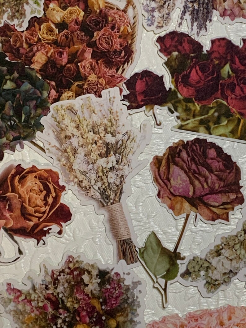 Dried Flower Designer Die Cut Stickers Etsy
