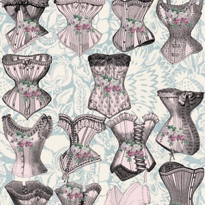 Antique Corsets - Pink, Blue and Cream Die Cut  Stickers