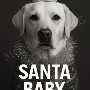 May include: Black and white photograph of a Labrador Retriever wearing a jeweled crown and a festive sweater. The text "SANTA BABY..." is displayed in large white letters across the bottom of the image.