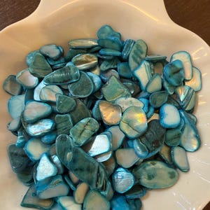 50 g turkosa snäckmosaikplattor, ca 130 st. Naturlig pärlsnäcka polerad, mosaiktillbehör