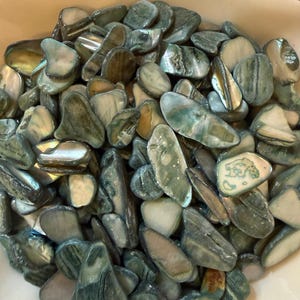 May include: A collection of polished, iridescent stones in shades of green, blue, and cream. The stones have a smooth, glossy finish and are of various shapes and sizes. They are arranged in a white, shell-shaped bowl.