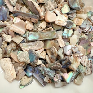 May include: A pile of iridescent abalone shell pieces in various shapes and sizes. The shells display a range of colors, including blues, greens, pinks, and creams. Some pieces have a pearlescent sheen, while others are more matte. The shells are a natural, organic material.