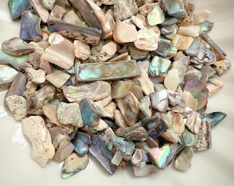 Natural Paua Abalone Shell Pieces: 1oz Craft Supply (8-12mm