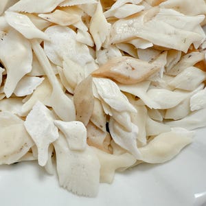 May include: Close-up of a pile of off-white, irregularly shaped shell pieces with some tan hues. The pieces are scattered in a white, fluted bowl, creating a textured, natural display. The shapes vary, suggesting a collection of organic materials.