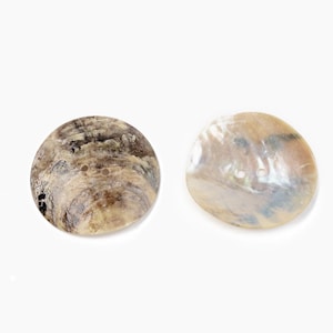 May include: Two round buttons made of natural shell material. The button on the left features a dark brown and tan marbled pattern, while the button on the right displays a lighter, iridescent cream and beige finish. Both have two center holes.
