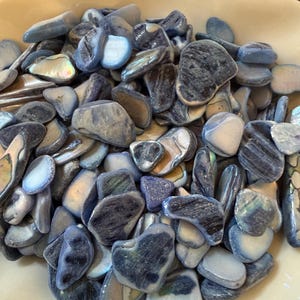 May include: A collection of blue and iridescent polished stones fills a cream-colored, shell-shaped dish. The stones vary in shape and size, with shades of blue, gray, and hints of pearlescent shimmer. The arrangement creates a visually appealing display of natural elements.