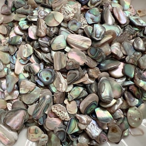 Könnte beinhalten: Nahaufnahme eines Haufens schillernder Abalone-Muschelteile. Die Muscheln variieren in Größe und Form und zeigen eine Reihe von Farben, darunter Rosa, Grün und Silber. Die Muscheln haben eine glatte, perlmuttartige Oberfläche.