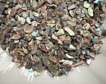 Paua Abalone Shell Pieces: Natural Iridescent Craft Supply (1oz Pack, 2-6mm