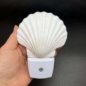 May include: A white seashell night light. The night light is shaped like a scallop shell and has a white base with a small light. The shell has detailed ridges and a natural texture. The night light is held in a hand.