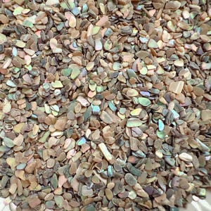Puede incluir: Primer plano de un montón de pequeños trozos iridiscentes de concha de abulón. Las conchas tienen una mezcla de colores, incluyendo marrón, verde y azul, con un efecto brillante y nacarado. Las piezas tienen forma irregular y varían en tamaño.