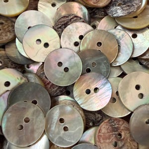 20 Buttons Natural Shell Buttons: Round Shape, 2-Hole, 14L (8.9mm) ~ 30L (19.1mm)