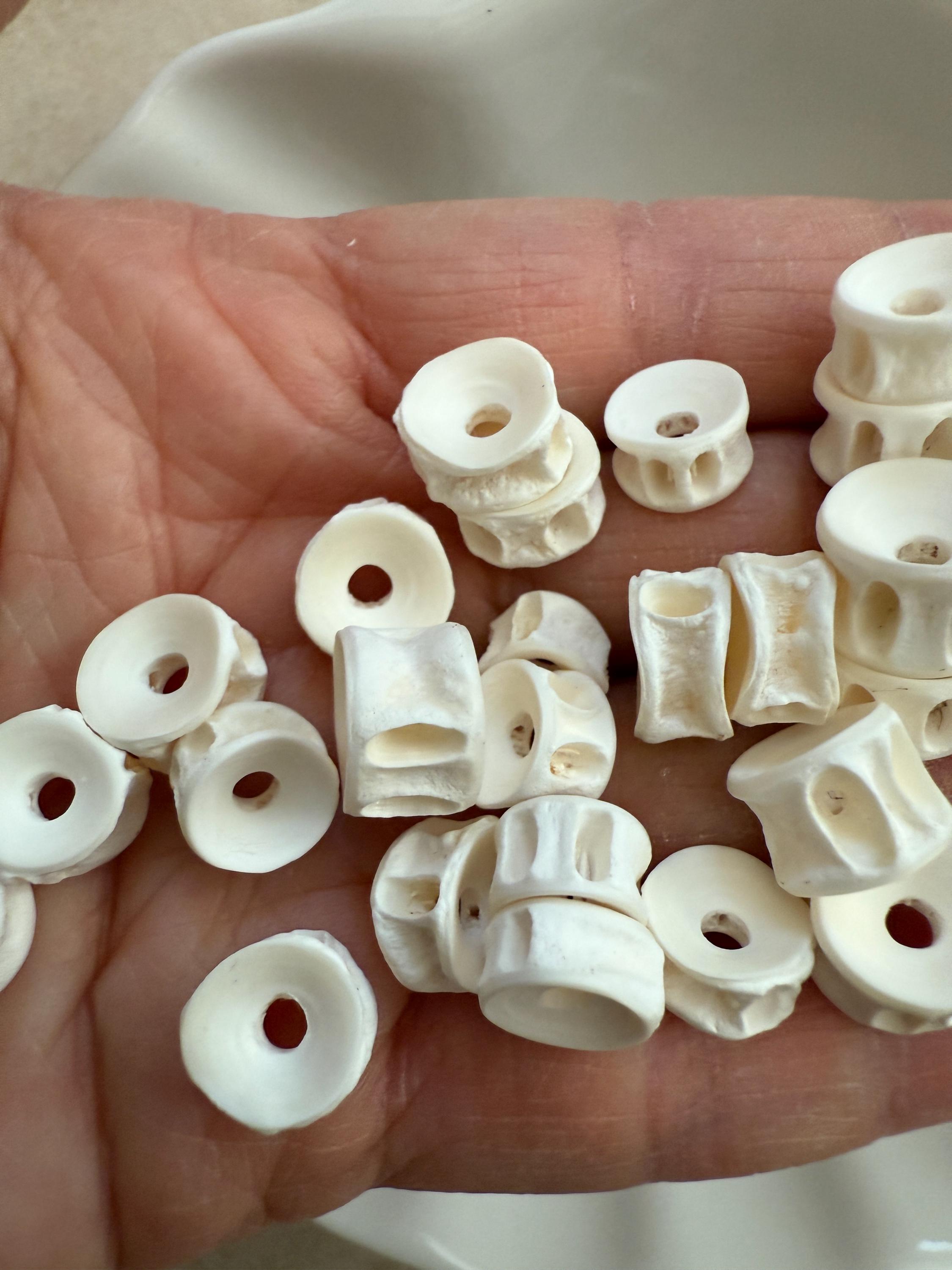 COBRA Bone Beads 1連 Natural Barracuda Vertebrae Beads - African Bone Beads 10PC - Etsy