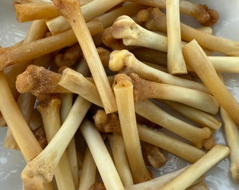 Small Bone Crafts, 1 1/2" Foot Bone Bobcat Bone Beads For Bone Crafts Jewelry Curiosity Taxidermy35