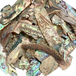 May include: A pile of iridescent abalone shell pieces. The shells have a natural, textured appearance with a mix of colors including blues, greens, pinks, and browns. The text "WET WITH WATER" is visible at the bottom.