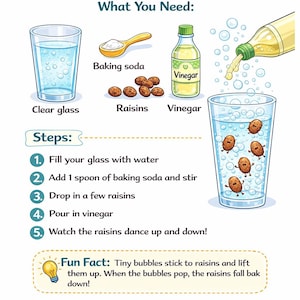 May include: An educational infographic titled Let's Make Raisins Dance! detailing a science experiment. It lists materials including a clear glass, baking soda, raisins, and vinegar, followed by five numbered steps and a fun fact about bubbles.