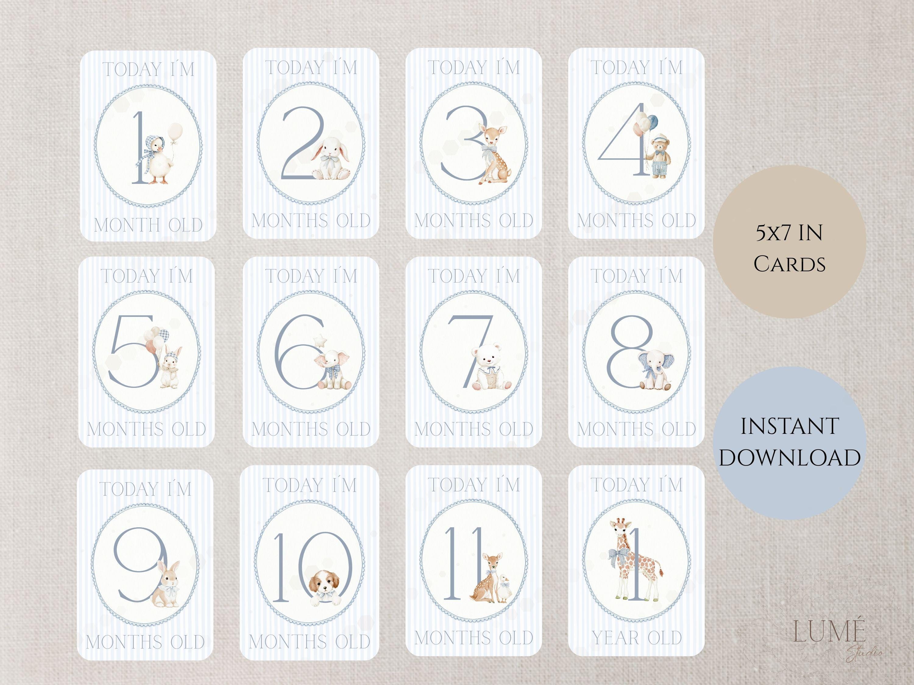 Baby Milestone Cards for Boys, Animal Theme, Printable 5x7, A4 Ready to ...