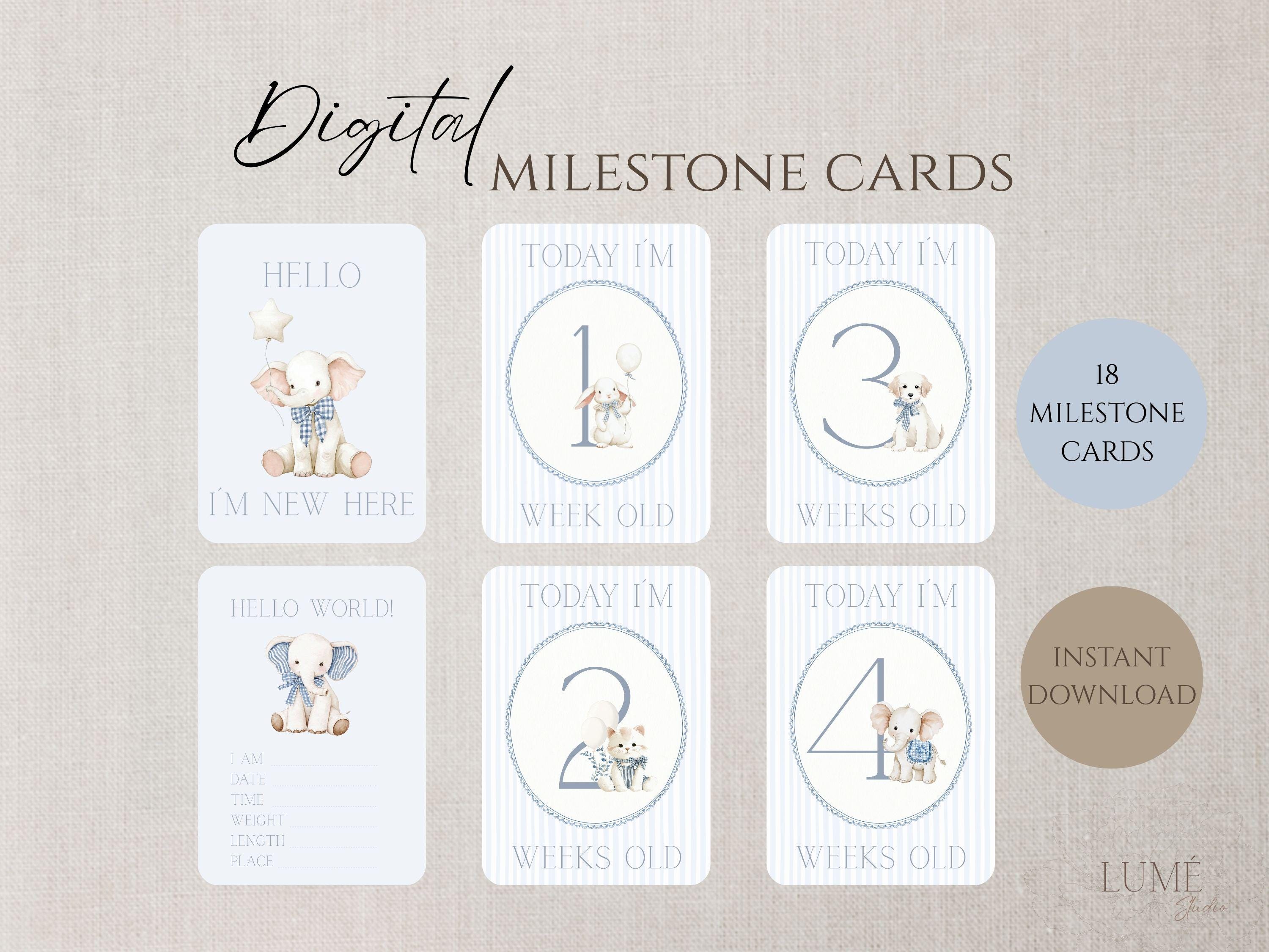 Baby Milestone Cards for Boys, Animal Theme, Printable 5x7, A4 Ready to ...