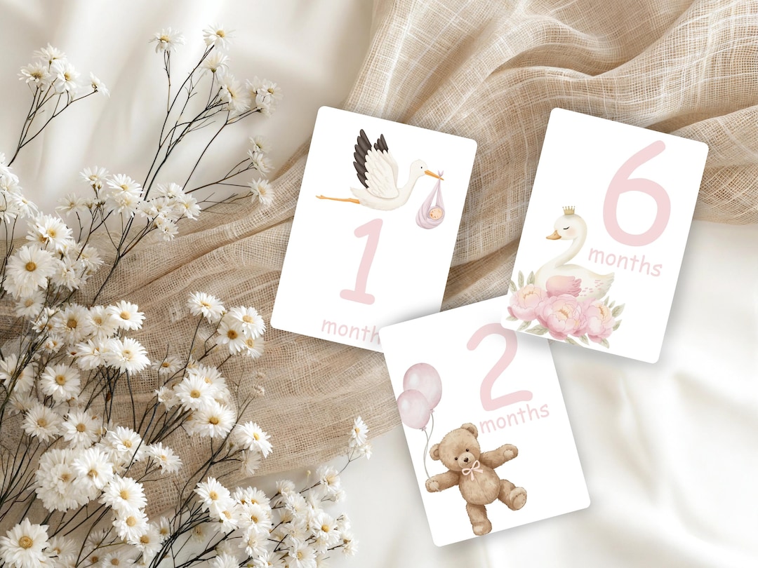 Baby Girl Milestone Cards Printable | Pink Monthly Milestone Cards 1-12 ...