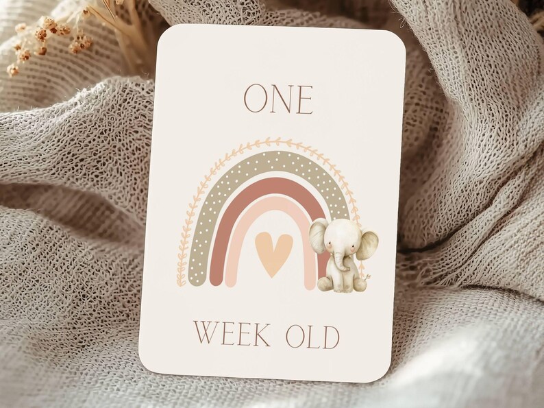Printable Baby Milestone Cards for Girls, Neutral 5x7, A4 Ready to ...