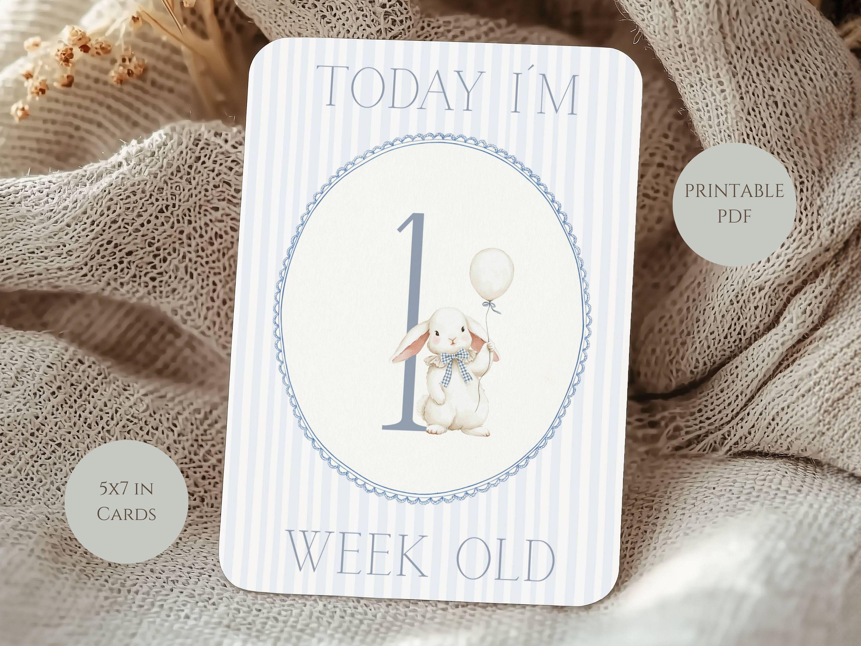 Baby Milestone Cards for Boys, Animal Theme, Printable 5x7, A4 Ready to ...