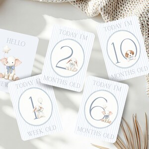 Baby Milestone Cards for Boys, Animal Theme, Printable 5x7, A4 Ready to ...