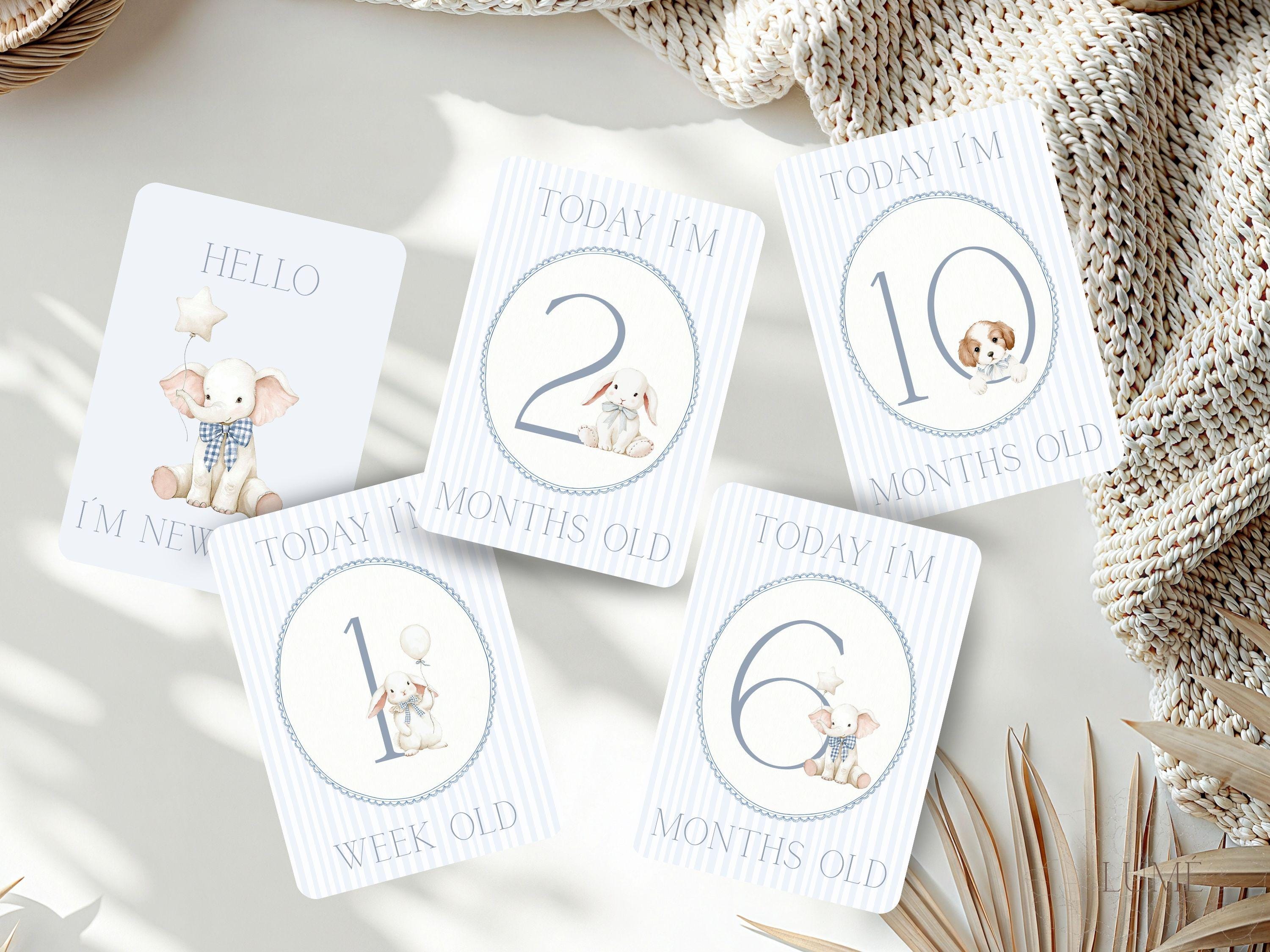Baby Milestone Cards for Boys, Animal Theme, Printable 5x7, A4 Ready to ...
