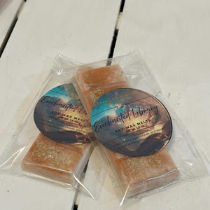 Puede incluir: Dos barras de cera de soja en envases transparentes. Cada barra es rectangular, de color naranja claro y con purpurina dorada. Las etiquetas dicen "Enchanted Library" y "Soy Wax Melts, net wt. 45g."