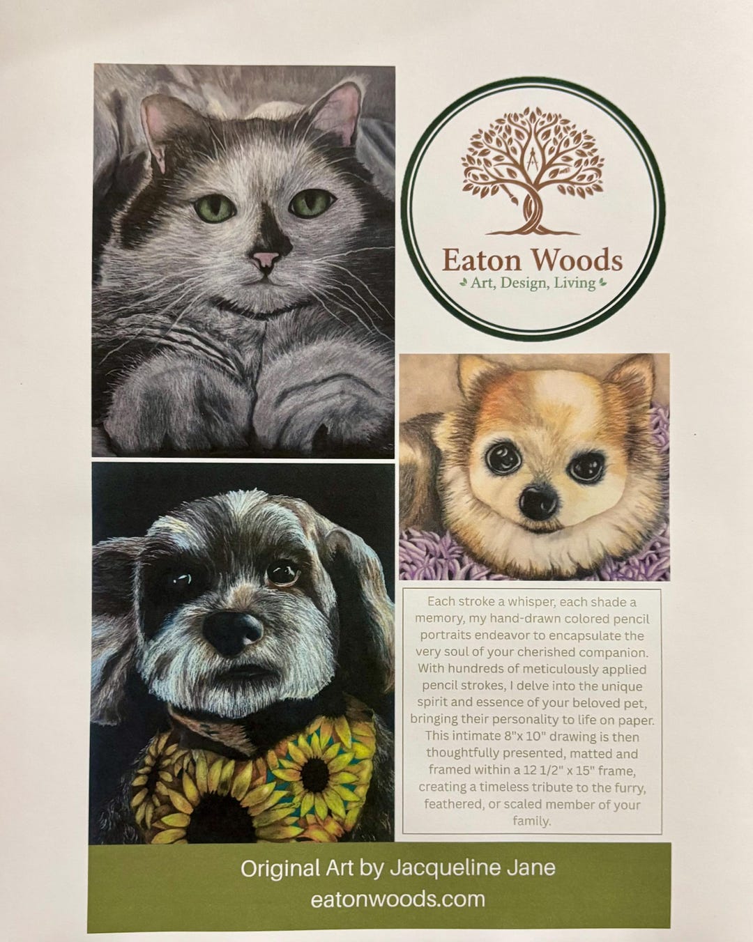 Custom Hand Drawn Colored Pencil Pet Portrait - Etsy
