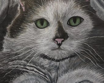 Custom Hand Drawn Colored Pencil Pet Portrait