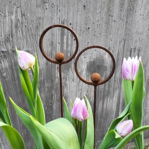 Puede incluir: Dos estacas de jardín de metal oxidado, cada una con un marco circular y una pequeña esfera centrada en la parte inferior. Las estacas están situadas entre varios tulipanes rosas y blancos con hojas verdes, frente a un muro de hormigón gris.