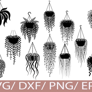Puede incluir: Ilustraciones en silueta negra de varias plantas colgantes, incluyendo enredaderas en cascada y arreglos frondosos, suspendidas por cadenas y ganchos. La imagen incluye el texto "SVG / DXF / PNG / EPS" en la parte inferior.