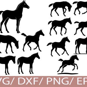 May include: Black silhouette images of horses in various poses, including standing, walking, and galloping. The image includes the text "SVG/ DXF/ PNG/ EPS" at the bottom, indicating file formats.