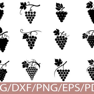 May include: A collection of twelve black and white grape illustrations. Each design features a cluster of grapes with leaves and a vine. The image includes the text "SVG/DXF/PNG/EPS/PDF" in a brown rectangular box at the bottom.