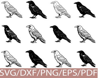 Raven SVG Silhouette Bundle, Black Crow Bird Collection for Cricut Craft Projects