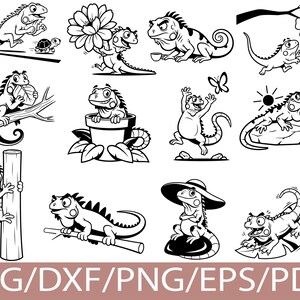 Può includere: Una collezione di dodici illustrazioni in bianco e nero a tratto che mostrano iguane dei cartoni animati in varie pose, tra cui arrampicarsi sui rami, sedersi in un vaso di fiori, indossare un cappello da sole e interagire con una farfalla, un fiore e il sole.