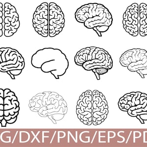 Puede incluir: Una colección de ilustraciones de cerebros en blanco y negro desde varias perspectivas. Las imágenes incluyen vistas superiores, laterales y contornos del cerebro. El texto "SVG/DXF/PNG/EPS/PDF" se muestra en la parte inferior.