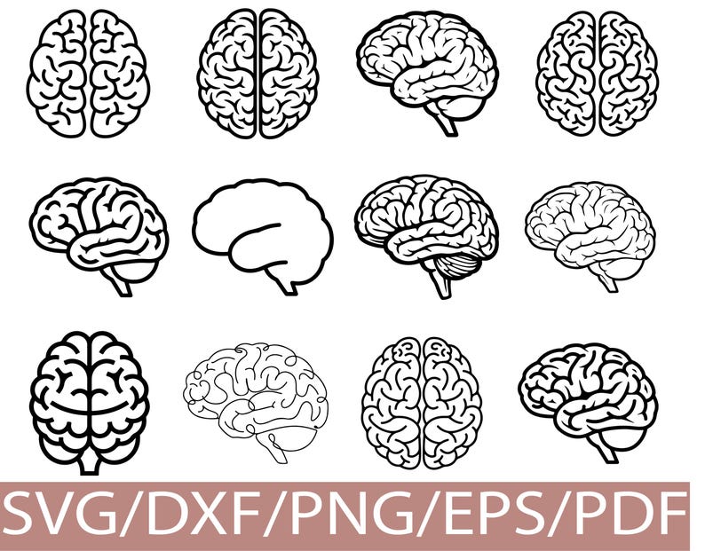 Brain Pattern Dxf Human Brain Silhouette Bundle SVG Anatomy Clipart Medical Illustration ...