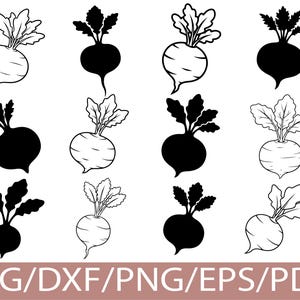 Puede incluir: Doce ilustraciones de remolacha en blanco y negro. Las remolachas se muestran en contorno y en negro sólido, con hojas detalladas. La imagen incluye el texto "SVG/DXF/PNG/EPS/PDF" en la parte inferior.