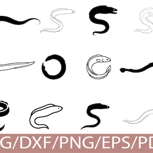 Op de afbeelding: Een verzameling gestileerde palingillustraties in zwart en wit. De ontwerpen omvatten verschillende poses, zoals zwemmen, opgerold en cirkelvormig. De onderkant van de afbeelding toont de tekst "SVG/DXF/PNG/EPS/PDF".