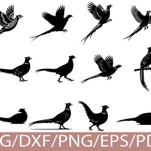 May include: A collection of black pheasant silhouettes in various poses, including flying, walking, and perched. The birds have detailed feather patterns and long tails, suitable for crafting projects. The image includes the text "SVG/DXF/PNG/EPS/PDF".