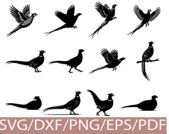 Fagiano Silhouette Bundle SVG Volante e appollaiato Fauna selvatica Clipart