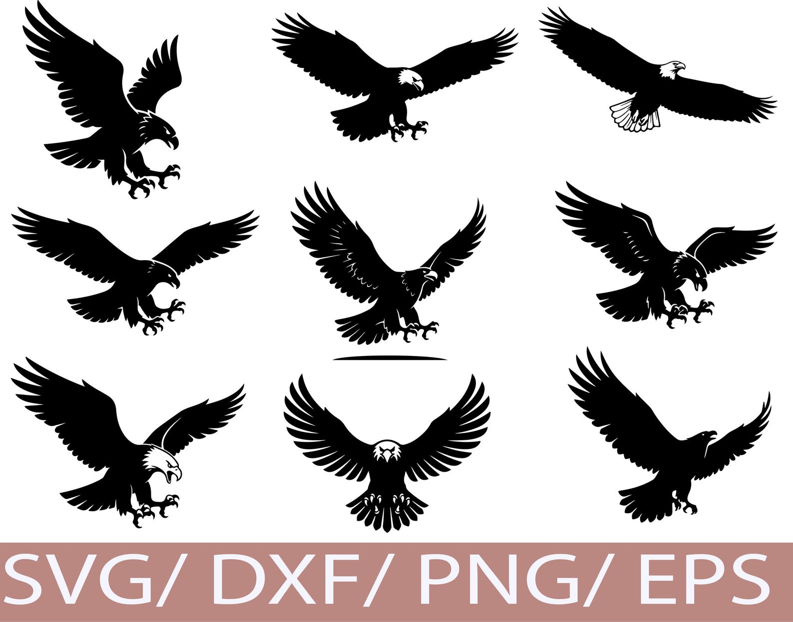 Flying Eagle SVG Silhouette Bundle, Bald Eagle Bird Clipart, Wildlife ...