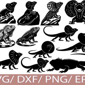 May include: A selection of black and white reptile illustrations, featuring iguanas and frilled-neck lizards. Some are shown on rocks, others in different poses. The image includes the text "SVG / DXF / PNG / EPS".