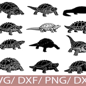 Könnte beinhalten: Eine Sammlung von Schwarz-Weiß-Illustrationen von Schildkröten und einem Alligator in verschiedenen Posen. Der Text "SVG / DXF / PNG / DXF" befindet sich unten und gibt die Dateiformate an.