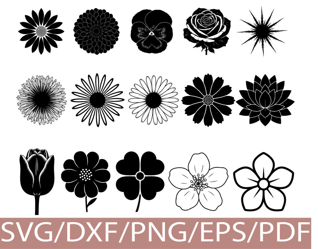 Flower SVG Silhouette Bundle Floral Shapes for Cricut Crafts Decor and ...